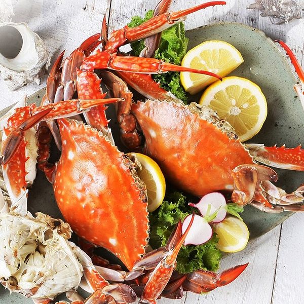 [핫딜] [신선식품] 서해안 급냉 숫꽃게 2kg(6-12미) (54,900원)